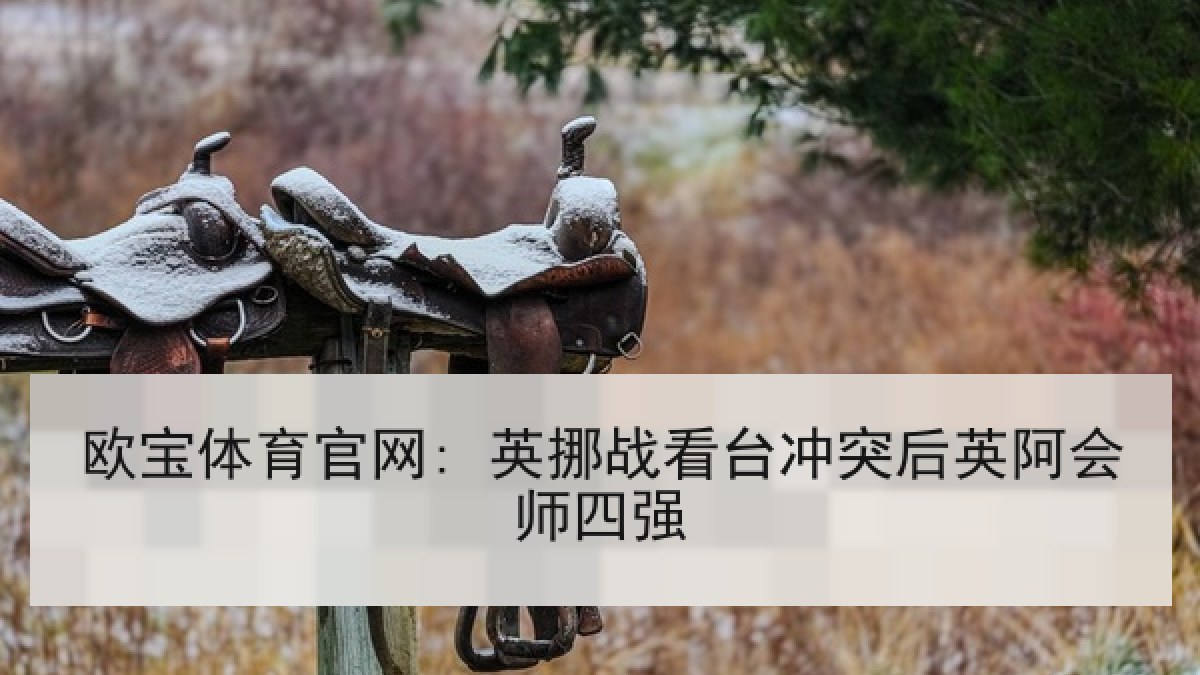 欧宝体育官网: 英挪战看台冲突后英阿会师四强 欧宝体育官网: 英挪战看台冲突后英阿会师四强