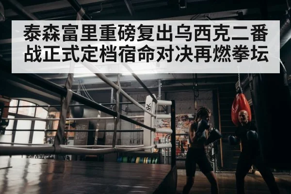 boxer training